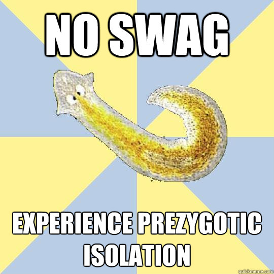 No swag experience prezygotic isolation  