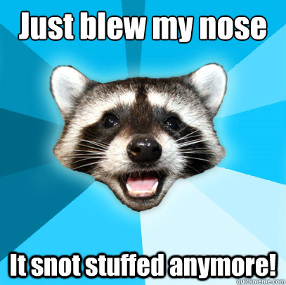 Just blew my nose It snot stuffed anymore!  Lame Pun Coon