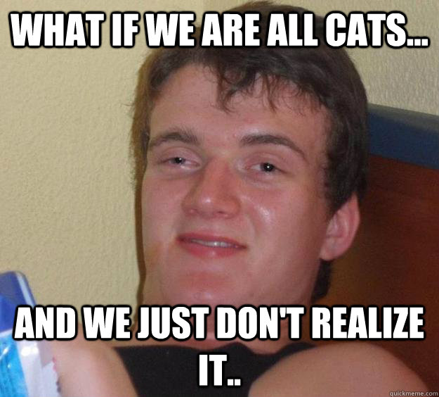 What if we are all cats... And we just don't realize it..  10 Guy
