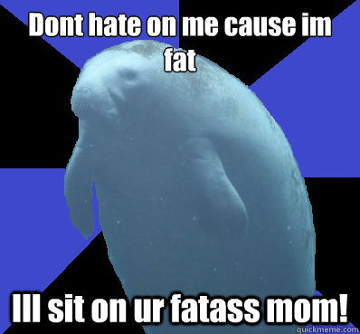Dont hate on me cause im fat Ill sit on ur fatass mom!  