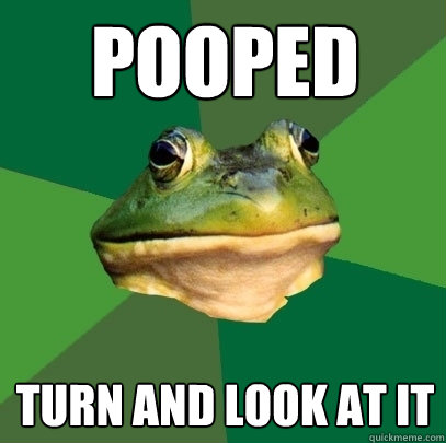 pooped turn and look at it   Foul Bachelor Frog
