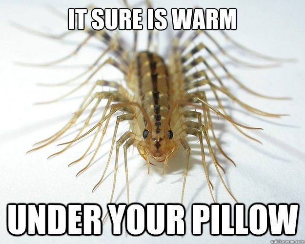 It sure is warm Under your pillow  