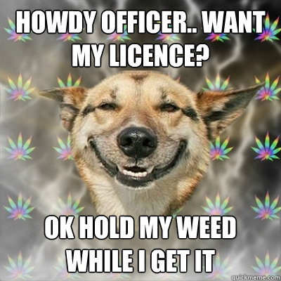 Howdy officer.. want my licence? ok hold my weed while i get it  Stoner Dog
