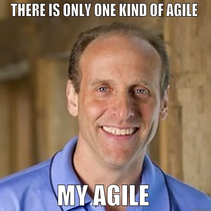 THERE IS ONLY ONE KIND OF AGILE MY AGILE Misc