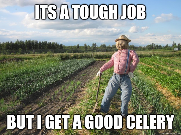 Its a tough job But i get a good celery - Its a tough job But i get a good celery  Scarecrow