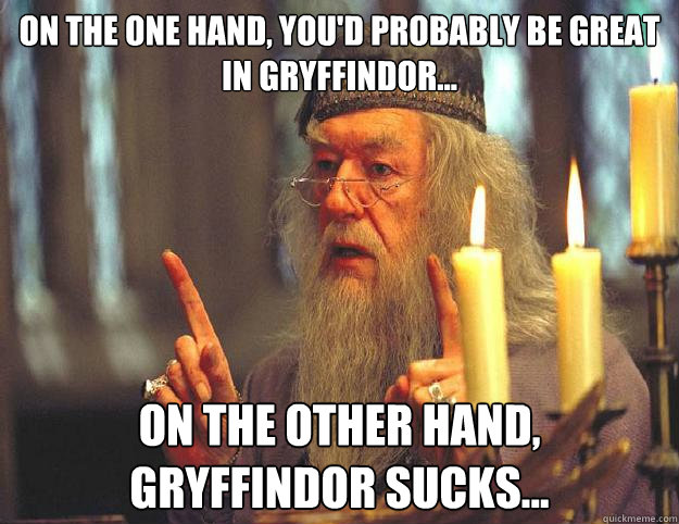 On the one hand, you'd probably be great in gryffindor... on the other hand, gryffindor sucks...  Dumbledore