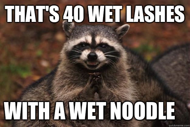 That's 40 wet lashes  With a wet noodle  Evil Plotting Raccoon