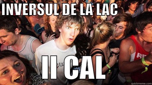 INVERSUL DE LA LAC             II CAL Sudden Clarity Clarence