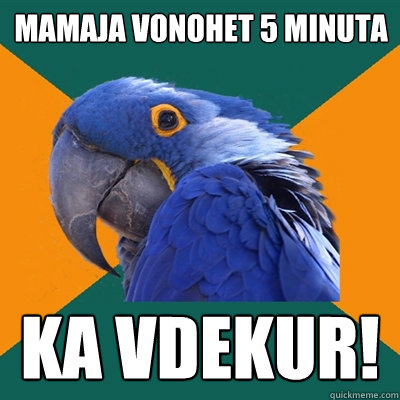 mamaja vonohet 5 minuta ka vdekur!  Paranoid Parrot