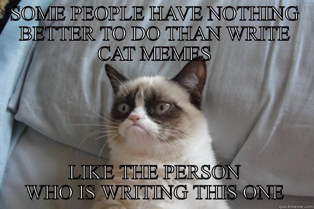 SOME PEOPLE HAVE NOTHING BETTER TO DO THAN WRITE CAT MEMES LIKE THE PERSON WHO IS WRITING THIS ONE Grumpy Cat