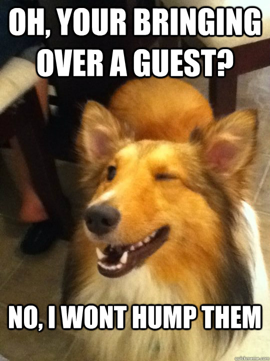 oh, your bringing over a guest? No, I wont hump them  implying dog