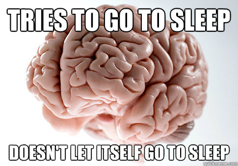 Tries to go to sleep Doesn't let itself go to sleep - Tries to go to sleep Doesn't let itself go to sleep  Scumbag Brain