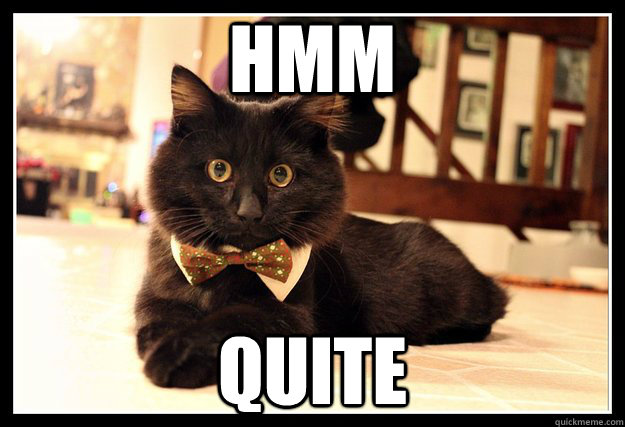hmm quite  Fancy Cat