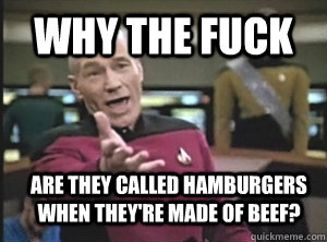WHY THE FUCK ARE THEY CALLED HAMBURGERS WHEN THEY'RE MADE OF BEEF?  Annoyed Picard