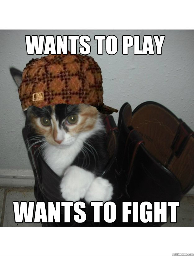 wants to play wants to fight  