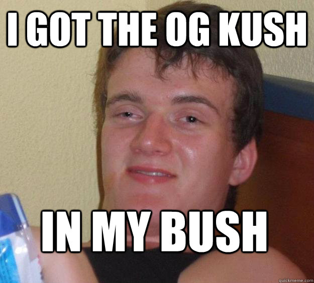 i got the OG kush in my bush  10 Guy