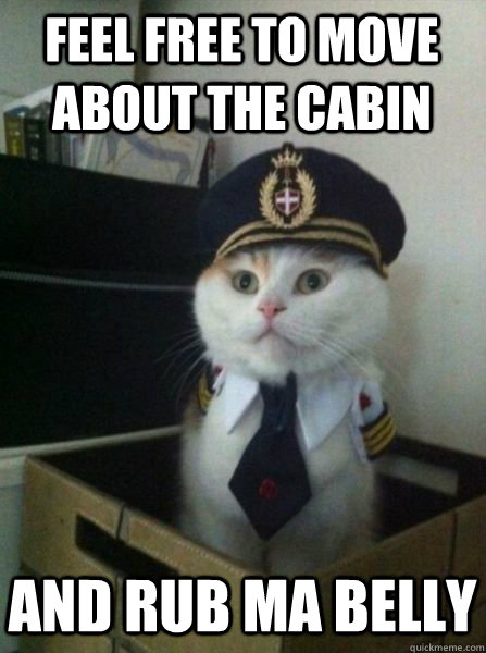 feel free to move about the cabin and rub ma belly  Captain kitteh