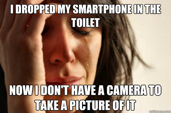 I DROPPED MY SMARTPHONE IN THE TOILET
 NOW I DON'T HAVE A CAMERA TO TAKE A PICTURE OF IT Caption 3 goes here  First World Problems