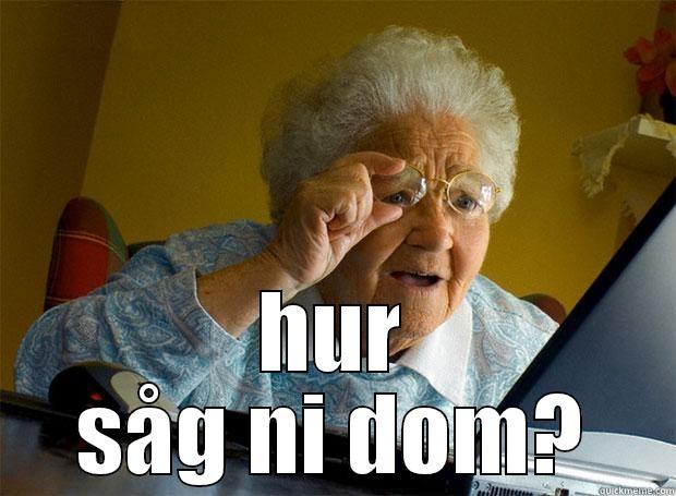  HUR SÅG NI DOM? Grandma finds the Internet