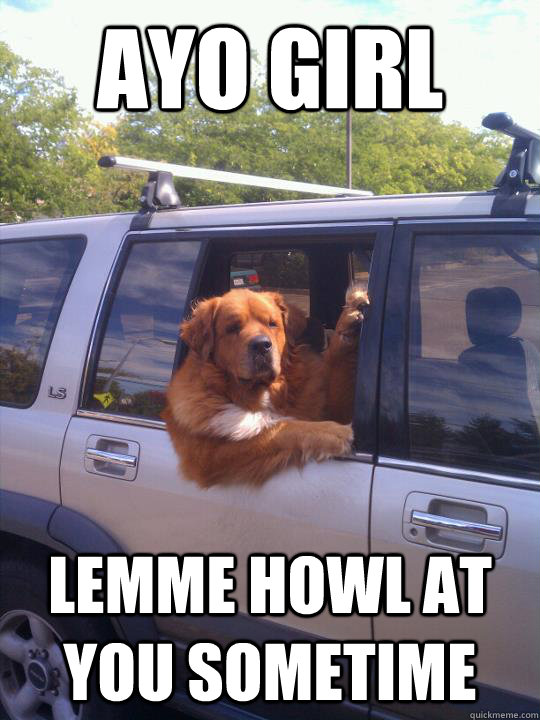 Ayo girl lemme howl at you sometime - Ayo girl lemme howl at you sometime  Misc