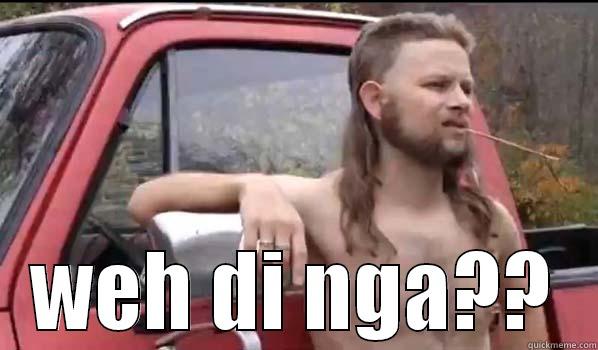  WEH DI NGA?? Almost Politically Correct Redneck