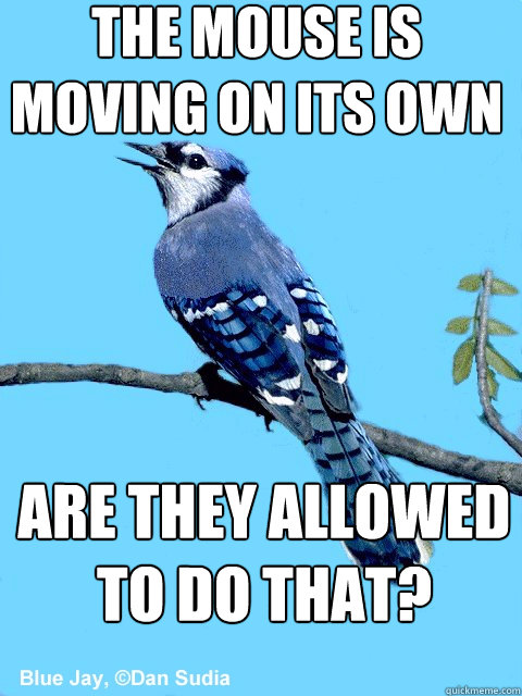 the mouse is moving on its own are they allowed to do that? - the mouse is moving on its own are they allowed to do that?  Blue Team Bird