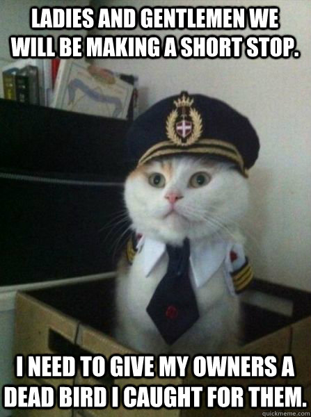 Ladies and gentlemen we will be making a short stop. I need to give my owners a dead bird I caught for them.  Captain kitteh