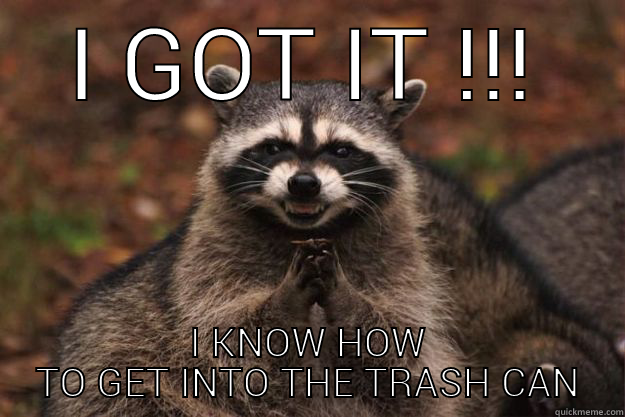 I GOT IT !!! I KNOW HOW TO GET INTO THE TRASH CAN Evil Plotting Raccoon