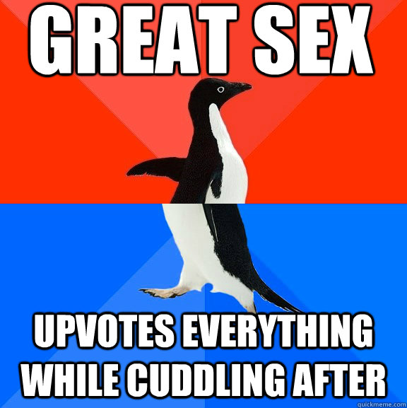 great sex upvotes everything while cuddling after  Socially Awesome Awkward Penguin