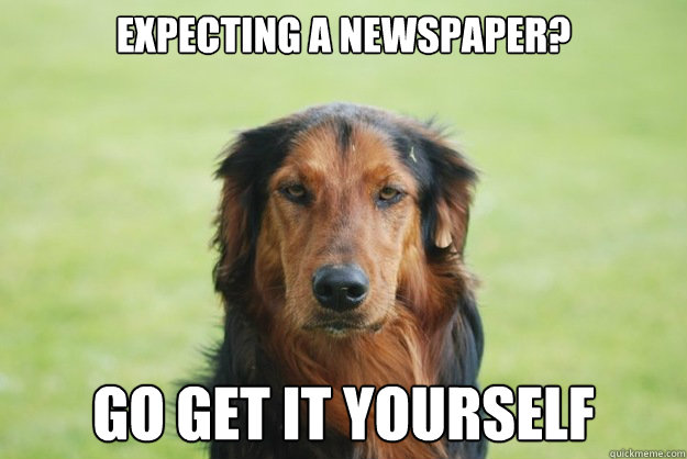 Expecting a newspaper? go get it yourself  Careless Canine
