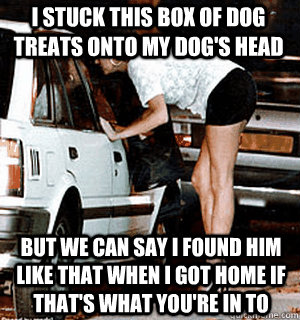 I STUCK THIS BOX OF DOG TREATS ONTO MY DOG'S HEAD BUT WE CAN SAY I FOUND HIM LIKE THAT WHEN I GOT HOME IF THAT'S WHAT YOU'RE IN TO  Karma Whore