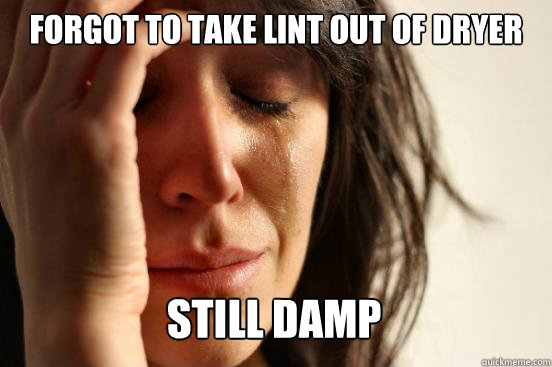 Forgot to take Lint out of dryer Still Damp  First World Problems