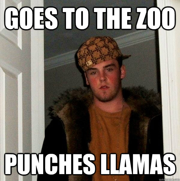 Goes to the zoo punches llamas  Scumbag Steve
