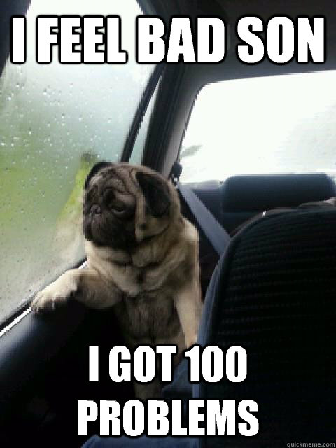 I feel bad son I got 100 problems - I feel bad son I got 100 problems  Introspective Pug