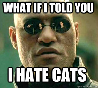 what if i told you i hate cats  Matrix Morpheus