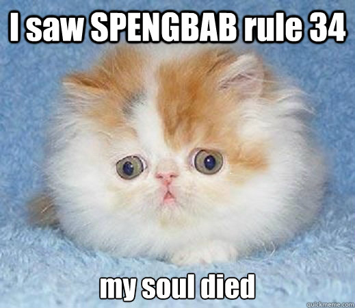 I saw SPENGBAB rule 34 my soul died - I saw SPENGBAB rule 34 my soul died  Loss of Innocence Cat