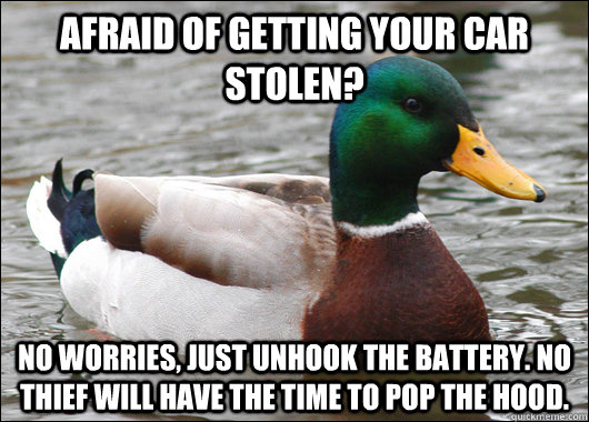 Afraid of getting your car stolen? No worries, just unhook the battery. No thief will have the time to pop the hood.  Actual Advice Mallard