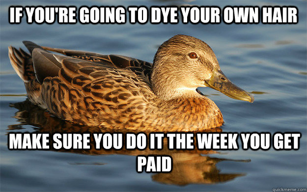 if you're going to dye your own hair make sure you do it the week you get paid  - if you're going to dye your own hair make sure you do it the week you get paid   Actual Female Advice Mallard