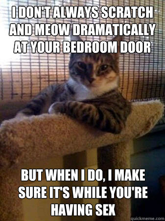 I don't always scratch and meow dramatically at your bedroom door but when I do, I make sure it's while you're having sex  The Most Interesting Cat in the World