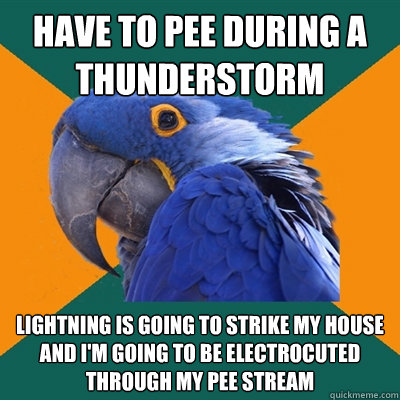 have to pee during a thunderstorm lightning is going to strike my house and i'm going to be electrocuted through my pee stream  Paranoid Parrot