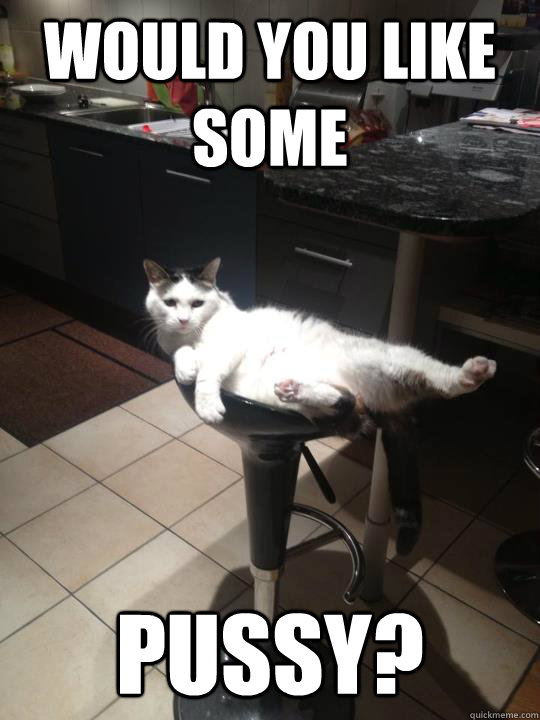 would you like some pussy?  Seductive Cat