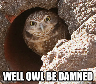  Well OWL be damned -  Well OWL be damned  Angry Owl