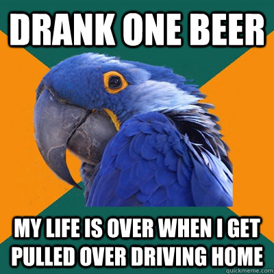 drank one beer my life is over when i get pulled over driving home  Paranoid Parrot