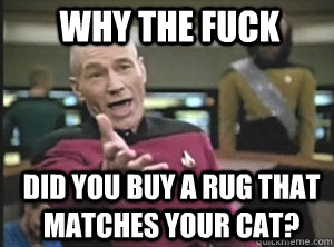 why the fuck did you buy a rug that matches your cat?  Annoyed Picard