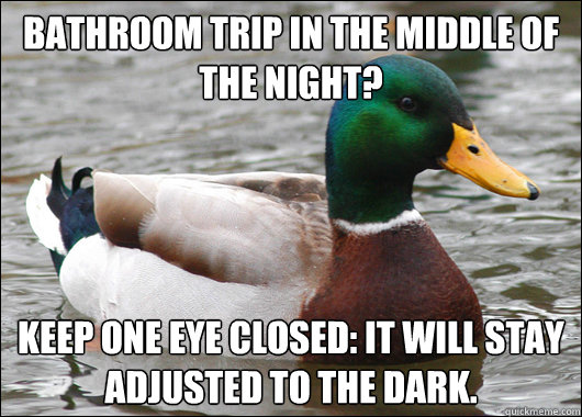 Bathroom trip in the middle of the night? Keep one eye closed: It will stay adjusted to the dark.  Actual Advice Mallard