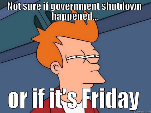 NOT SURE IF GOVERNMENT SHUTDOWN HAPPENED... OR IF IT'S FRIDAY Futurama Fry