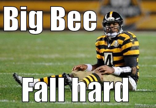 BIG BEE           FALL HARD Misc
