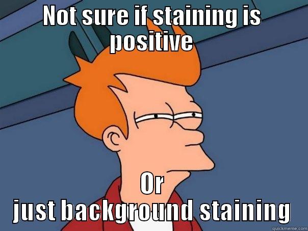 NOT SURE IF STAINING IS POSITIVE OR JUST BACKGROUND STAINING Futurama Fry