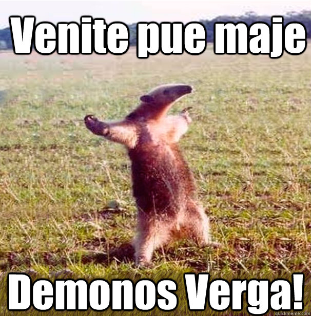 Venite pue maje Demonos Verga! - Venite pue maje Demonos Verga!  oso hormiguero