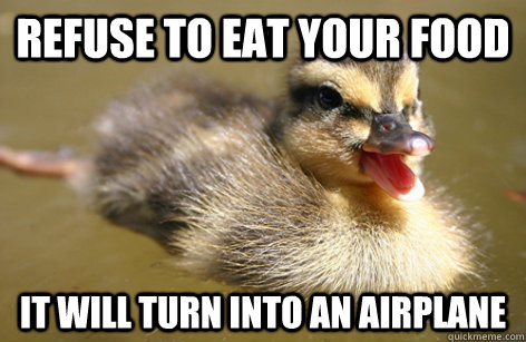 refuse to eat your food it will turn into an airplane - refuse to eat your food it will turn into an airplane  Infant Advice Mallard